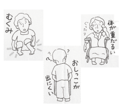 タンポポ茶